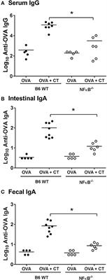 Requirement for Cyclic AMP/Protein Kinase A-Dependent Canonical NFκB Signaling in the Adjuvant Action of Cholera Toxin and Its Non-toxic Derivative mmCT